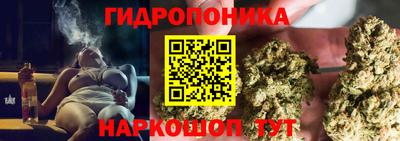 шишки Старая Купавна