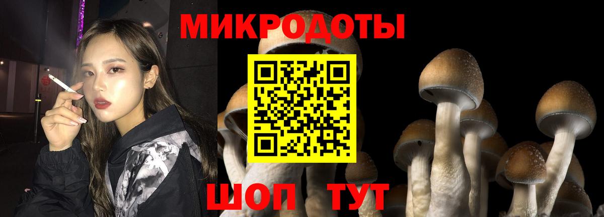 Галлюциногенные грибы MAGIC MUSHROOMS Нижний Тагил